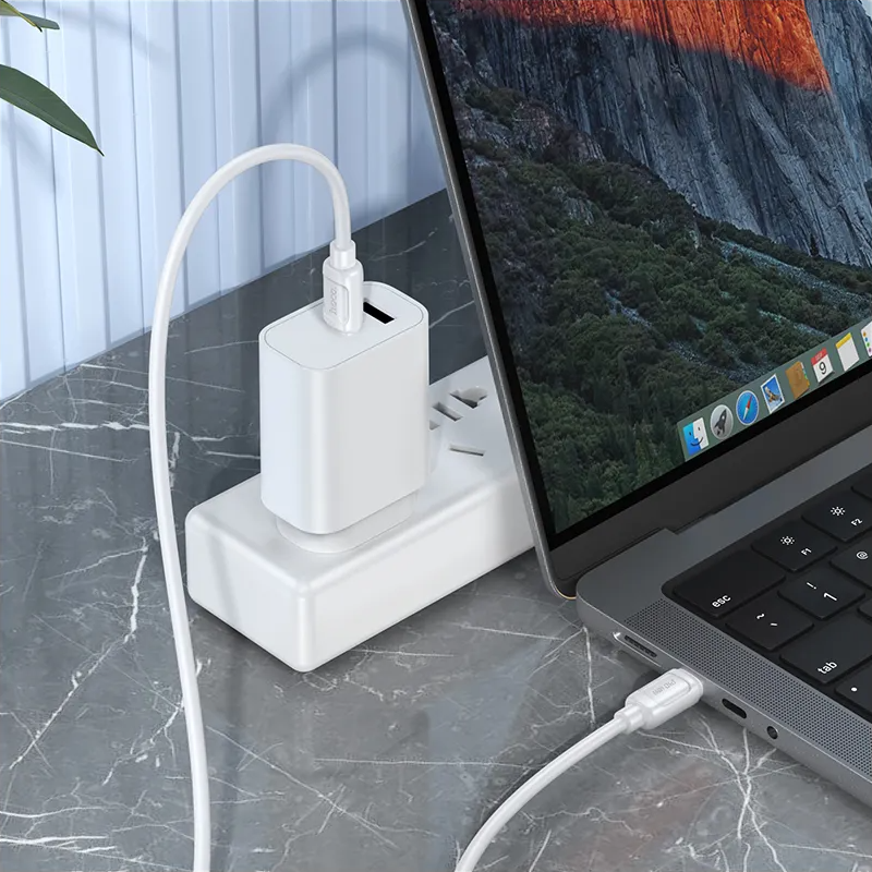 Cablu Date si Incarcare USB-C - USB-C HOCO X115, 240W, 1m, Alb