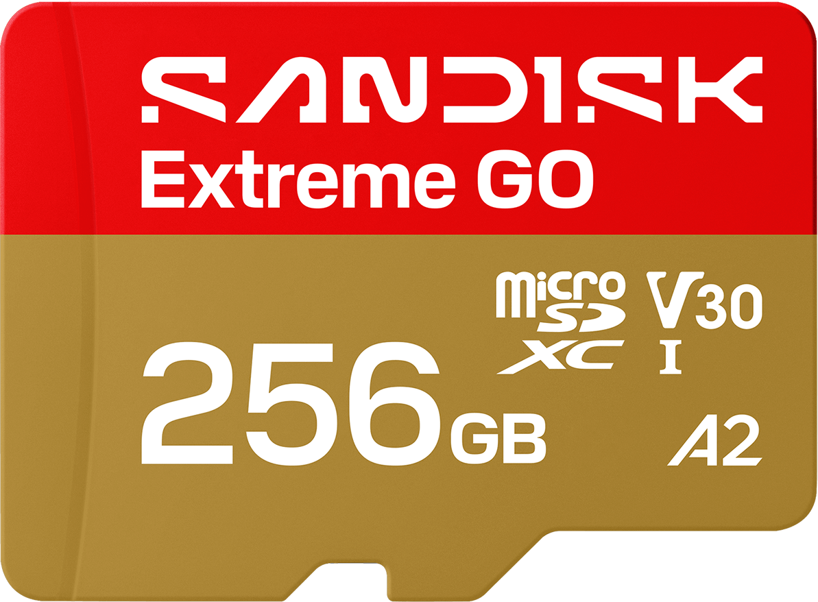 Card Memorie microSDXC SanDisk Extreme GO Android A2, 256Gb, Clasa 10 / UHS-1 U1 SDSQXGN-256G-GN6MN
