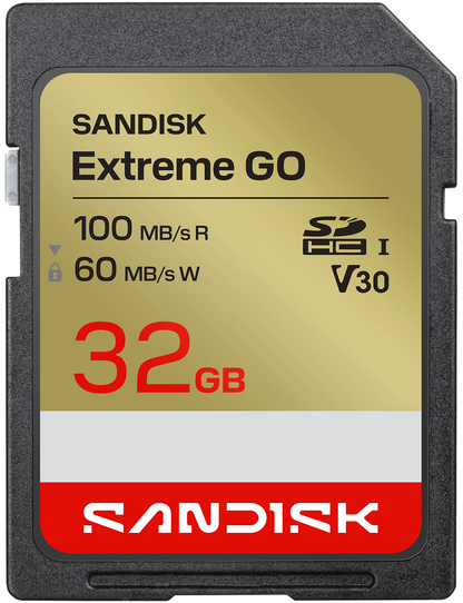 Card Memorie SDHC SanDisk Extreme Go, 32Gb, Clasa 10 / UHS-1 U1 SDSDXGN-032G-GNCIN