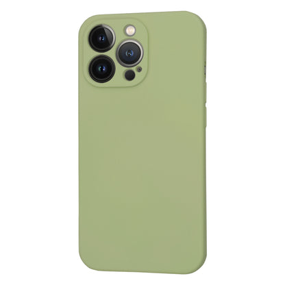 Husa MagSafe pentru Apple iPhone 13 Pro, Techsuit, SoftFlex, Matcha
