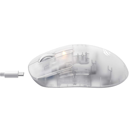 Mouse Gaming Wireless HAVIT MS970WB Pro, 800DPI - 12000DPI, BT / Wi-Fi / Wired, Transparent Alb