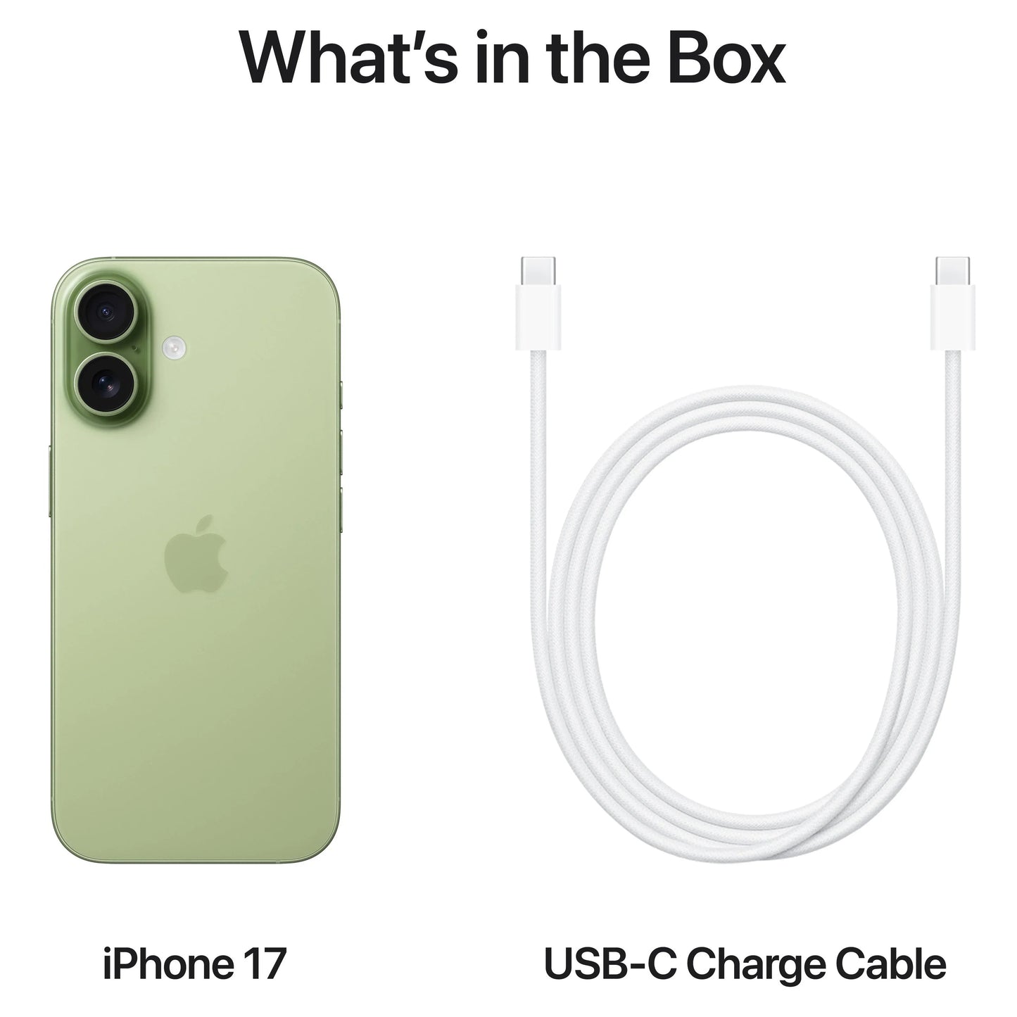 Telefon Mobil Apple iPhone 17, 256GB, Sage MG6N4ZD/A